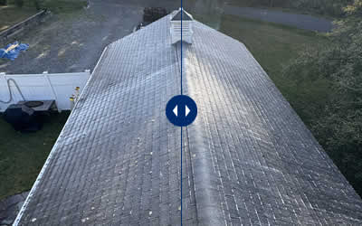 Roof Washing - Learn More